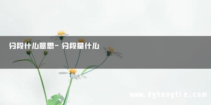 分段什么意思-分段是什么 
